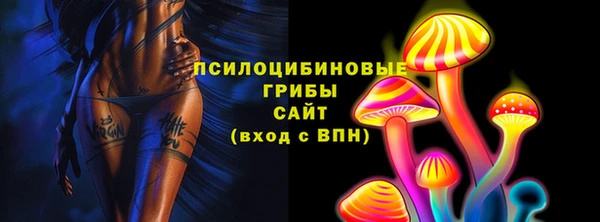 метадон Алексин