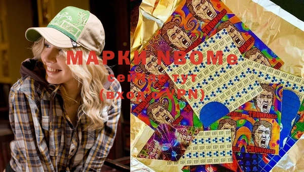 метадон Алексин