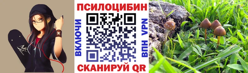 наркошоп  Балабаново  Галлюциногенные грибы Magic Shrooms 