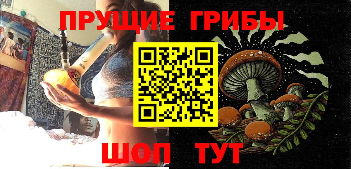 Псилоцибиновые грибы Cubensis Балабаново