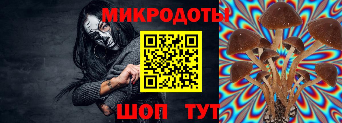 Псилоцибиновые грибы Cubensis  Вход с VPN  Балабаново  Галлюциногенные грибы мицелий 